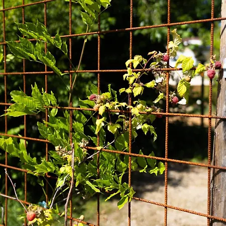 Geniet De Op De Veluwe In Knusse Pipowagen 'pipo Lagom' Nyaraló *