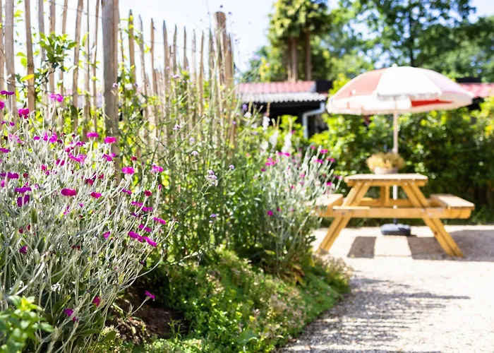 Tatil Evi Geniet De Op De Veluwe In Knusse Pipowagen 'pipo Lagom'