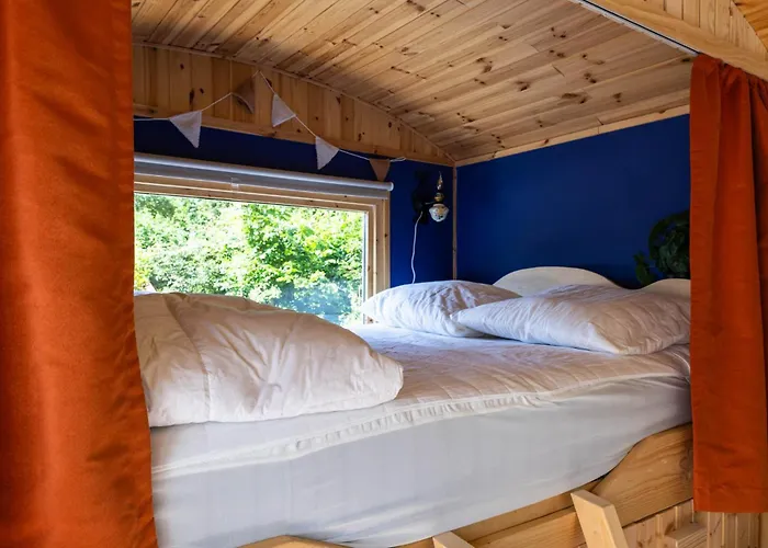 Tatil Evi Geniet De Op De Veluwe In Knusse Pipowagen 'pipo Lagom' Epe