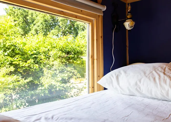 Geniet De Op De Veluwe In Knusse Pipowagen 'pipo Lagom' Tatil Evi