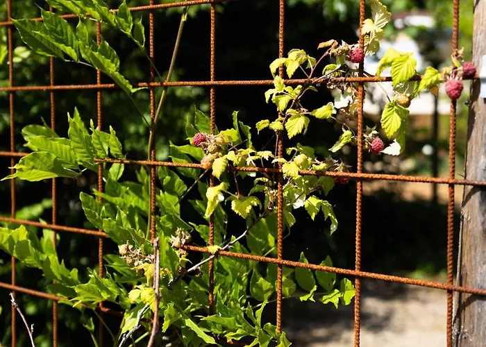 Geniet De Op De Veluwe In Knusse Pipowagen 'pipo Lagom' Prázdninový dům *
