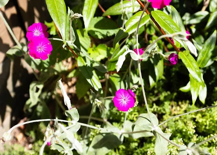 Prázdninový dům Geniet De Op De Veluwe In Knusse Pipowagen 'pipo Lagom' *