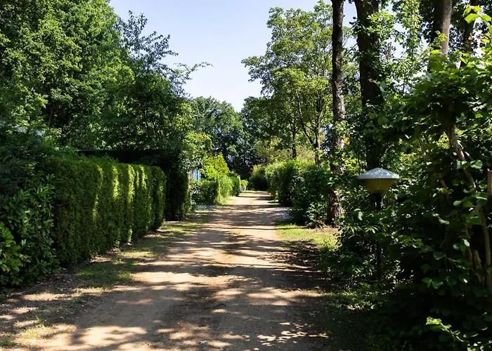 Geniet De Op De Veluwe In Knusse Pipowagen 'pipo Lagom' Epe
